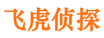 塔河外遇调查取证